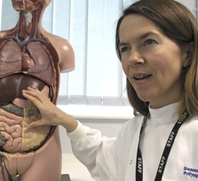Visceral Osteopathy (UK)